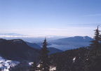 Deep Cove