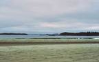 Chesterman Beach, Tofino