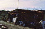 Clayoquot Sound Peace Camp