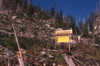 Clayoquot Valley Witness Trail