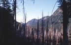 Clayoquot Valley Witness Trail
