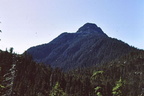 Clayoquot Sound Witness Trail