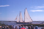 Tall Ships Festival