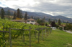 St. Hubertus Winery