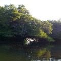 Black Turtle Cove