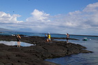 Isla Ferdinandina