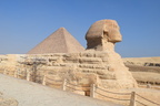 The Sphinx