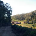 Cabins on trail to Chicabal