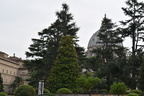 Saint Peter&#039;s Basilica