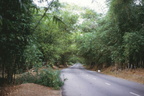 Montego Bay-Savannah La Mar Highway