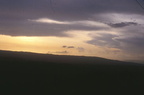 Near Mandeville