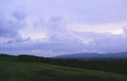 Near Mandeville