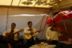 Mariachis