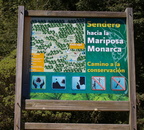 Sierra Chincua Monarch Butterfly Biosphere Reserve