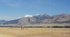Montana