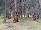 Banff Art in Nature Trail